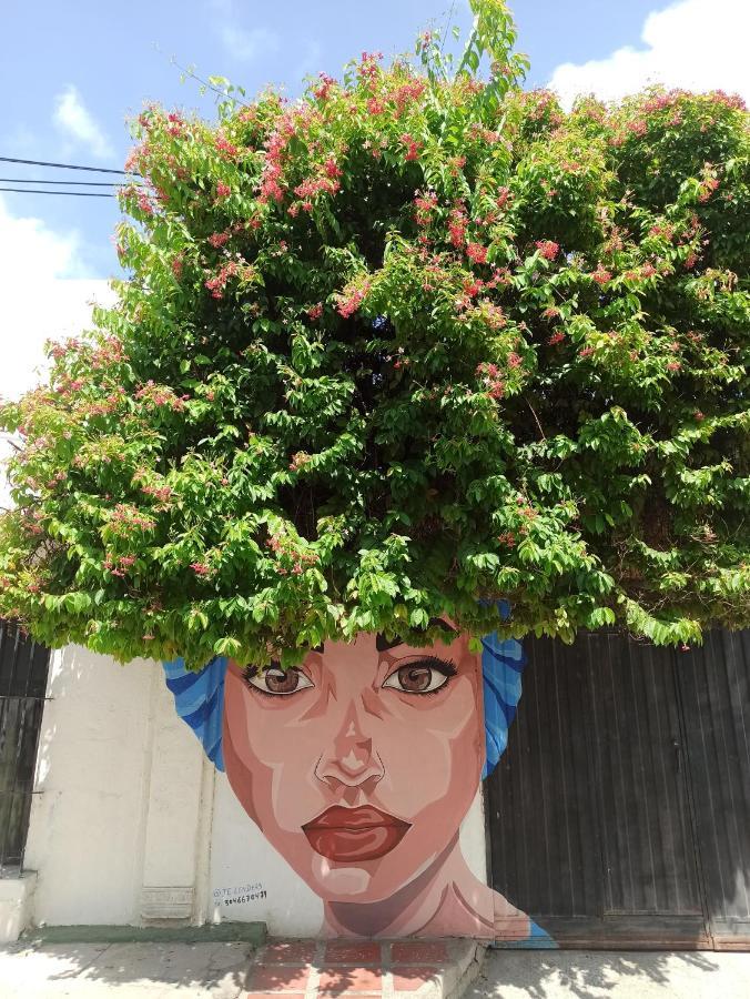 El Habitante Casa Cultural & Hostal Ciénaga Dış mekan fotoğraf